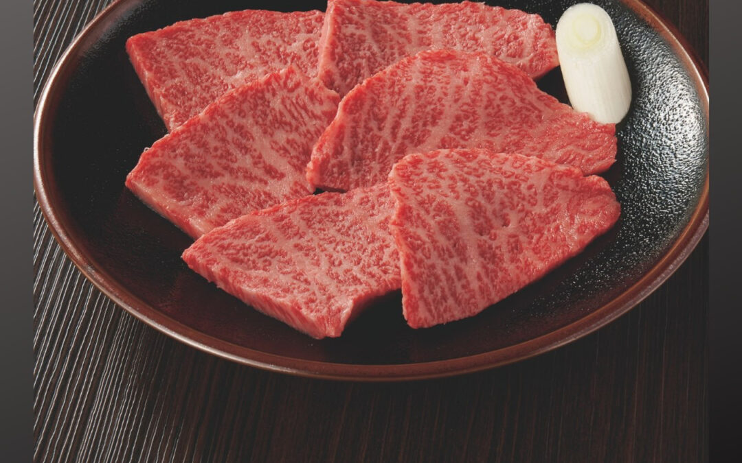 【 イチボ 】